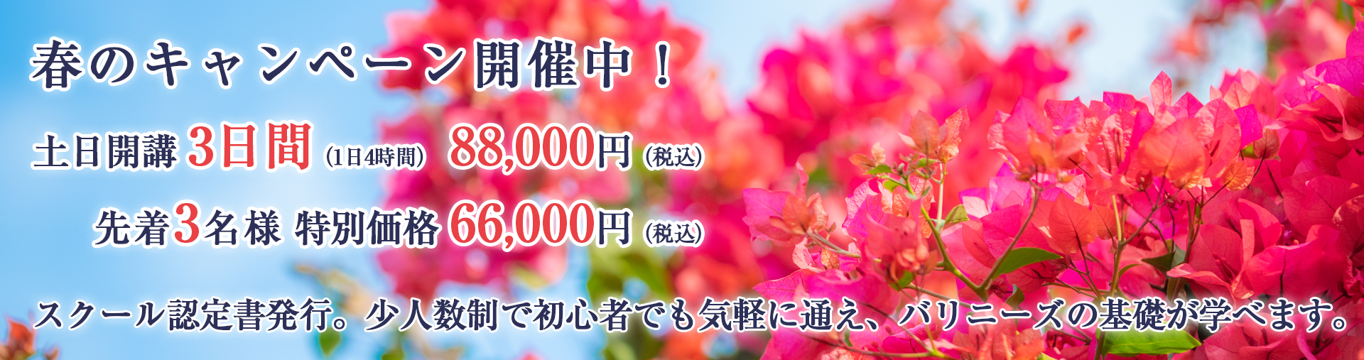 春のキャンペーン開催中！